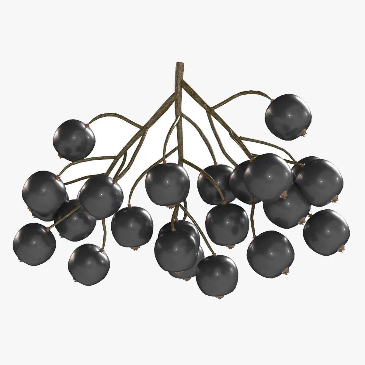 Black Currant 3D Model .c4d .max .obj .3ds .fbx .stl .blend 