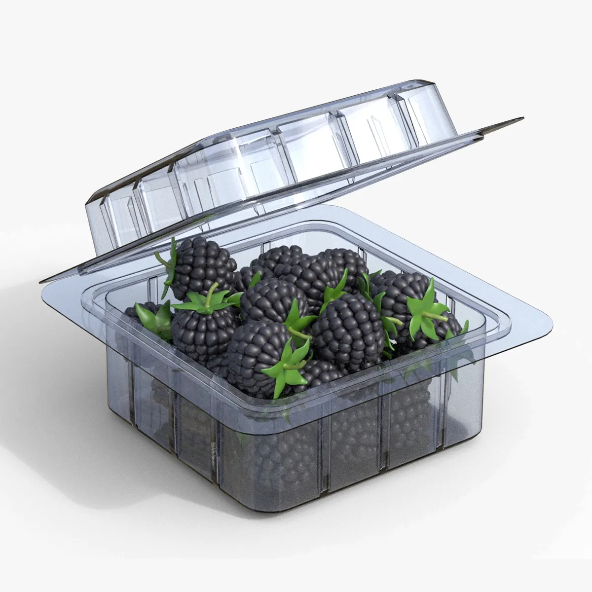 Blackberry Fruit Box Plastic Transparent 3D Model .c4d .max .obj .3ds .fbx .stl .blend 