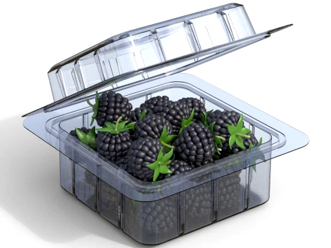 Brombeer-Obstkiste aus Kunststoff, transparent 3D Modell