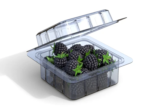 Blackberry Fruit Box Plastic Transparent 3D Model
