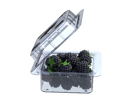 Blackberry Fruit Box Plastic Transparent 3D Model
