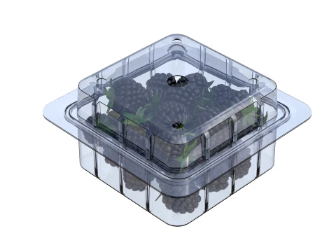 Blackberry Fruit Box Plastic Transparent 3D Model