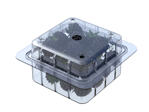 Blackberry Fruit Box Plastic Transparent 3D Model