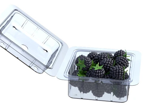 Blackberry Fruit Box Plastic Transparent 3D Model