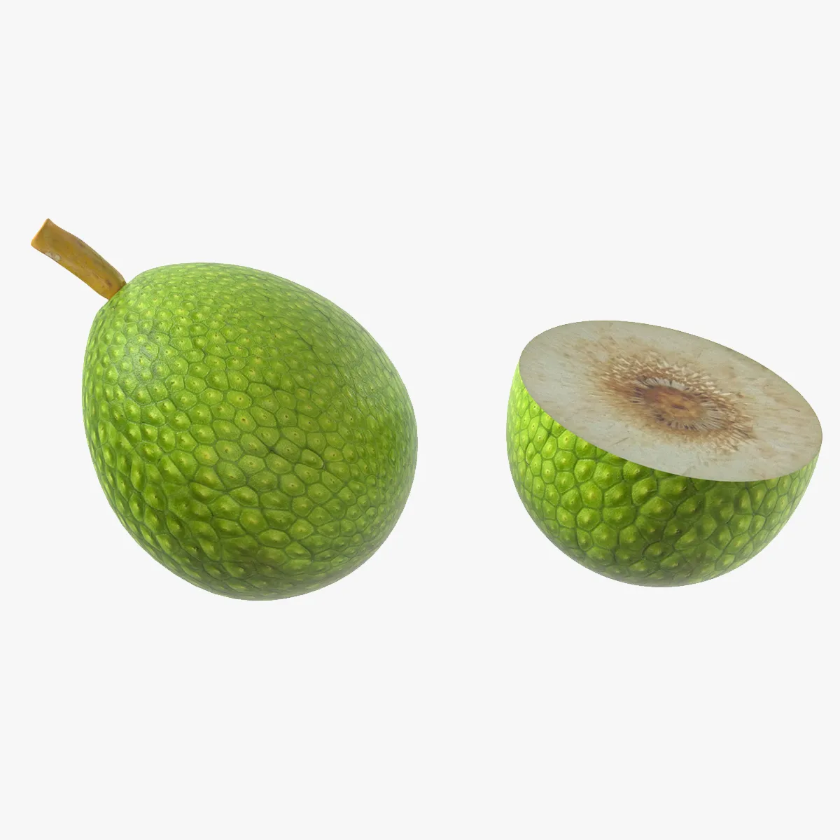 Fruta-pão Modelo 3D .c4d .max .obj .3ds .fbx .stl .blend