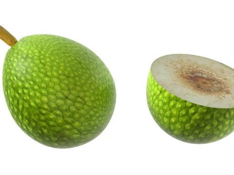 Fruta-p&atilde;o Modelo 3D