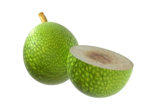 Fruta-p&atilde;o Modelo 3D