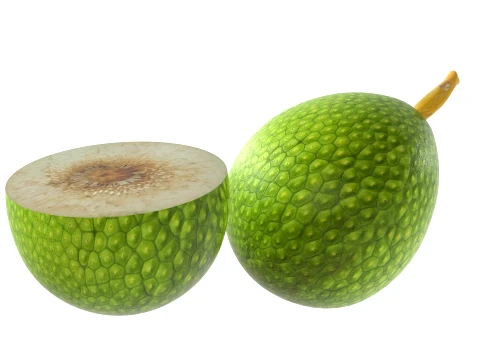 Fruta-p&atilde;o Modelo 3D