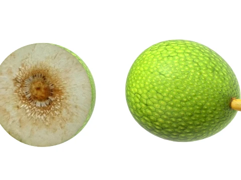 Fruta-p&atilde;o Modelo 3D