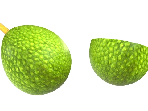 Fruta-p&atilde;o Modelo 3D
