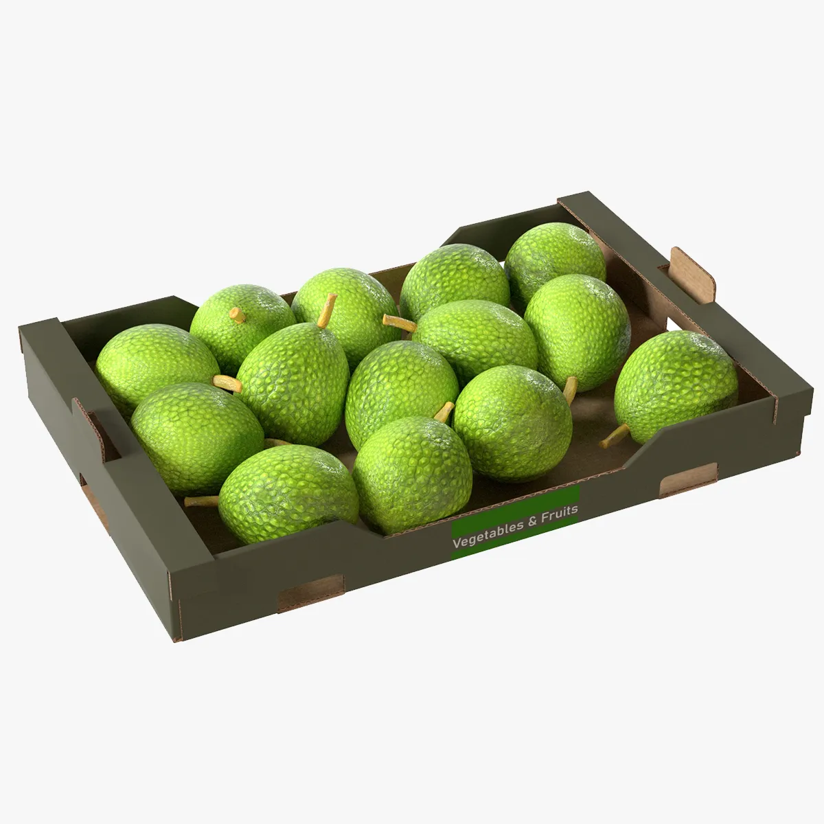 Breadfruit Cardboard Fruit Box 3D Model .c4d .max .obj .3ds .fbx .stl .blend 