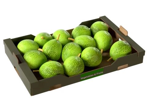 Brotfrucht-Obstschachtel aus Pappe 3D Modell