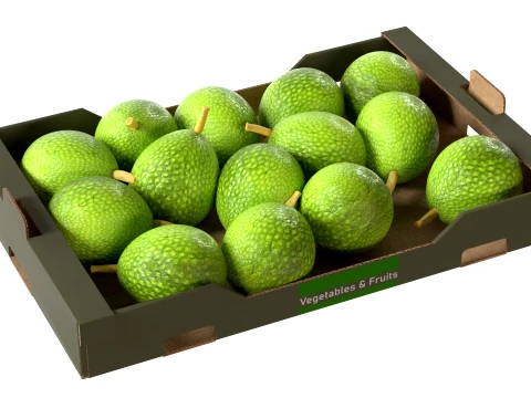 Breadfruit Cardboard Fruit Box 3D Model