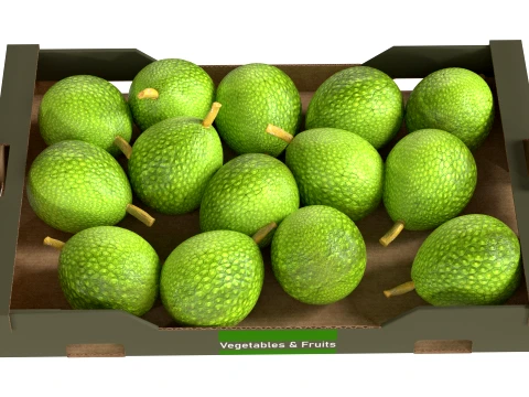 Breadfruit Cardboard Fruit Box 3D Model