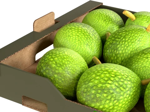 Breadfruit Cardboard Fruit Box 3D Model