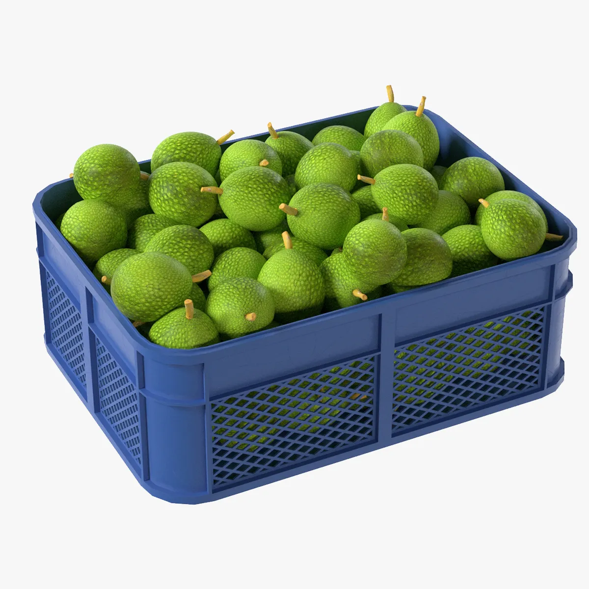 Caixa de pl&aacute;stico de fruta-p&atilde;o Modelo 3D .c4d .max .obj .3ds .fbx .stl .blend 