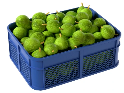 Caixa de pl&aacute;stico de fruta-p&atilde;o Modelo 3D