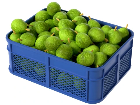 Caixa de pl&aacute;stico de fruta-p&atilde;o Modelo 3D