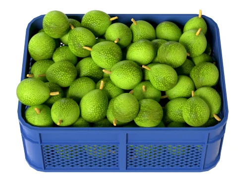 Caixa de pl&aacute;stico de fruta-p&atilde;o Modelo 3D