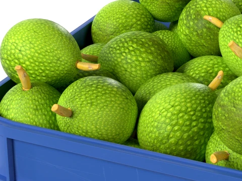 Caixa de pl&aacute;stico de fruta-p&atilde;o Modelo 3D