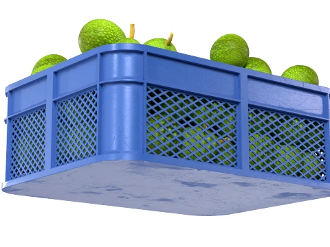 Caixa de pl&aacute;stico de fruta-p&atilde;o Modelo 3D