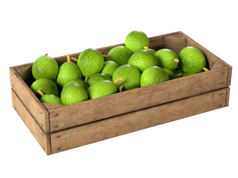 Brotfrucht-Holzkiste 3D Modell