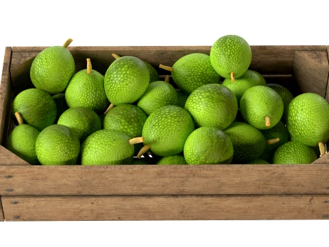 Breadfruit Wooden Crate 3D Model