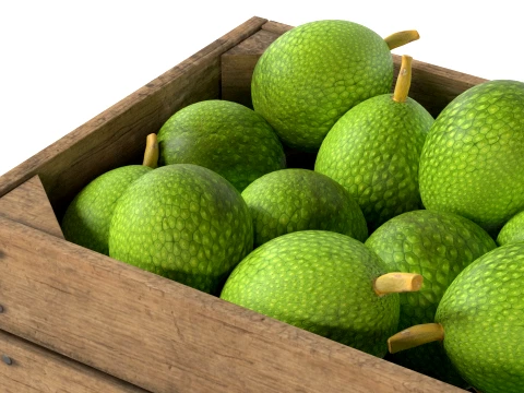Breadfruit Wooden Crate 3D Model