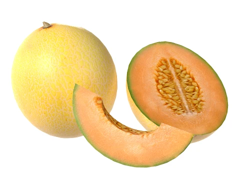 Cantaloupe-Melone 3D Modell