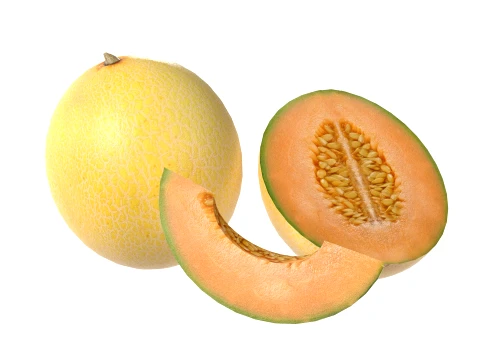 Cantaloupe Melon 3D Model