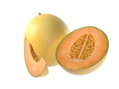 Cantaloupe Melon 3D Model