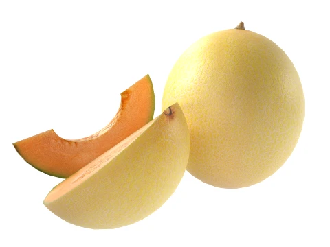 Cantaloupe Melon 3D Model