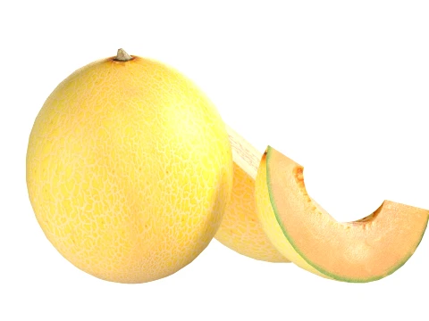 Cantaloupe Melon 3D Model