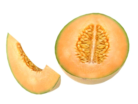 Cantaloupe Melon 3D Model