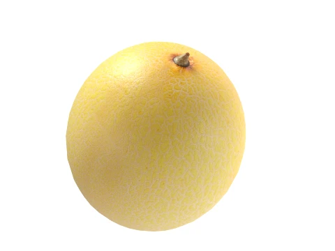 Cantaloupe Melon 3D Model
