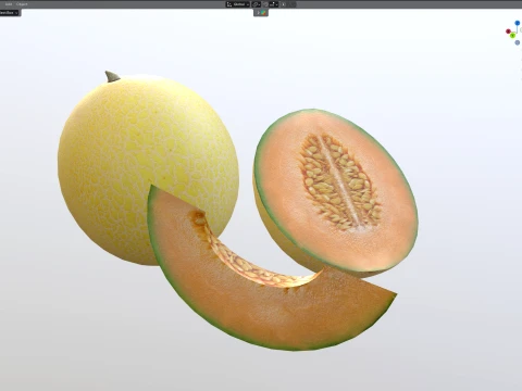 Cantaloupe Melon 3D Model