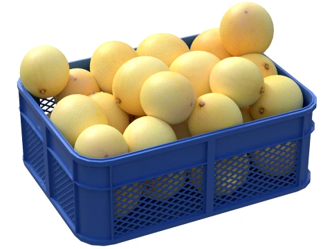 Cantaloupe-Melonen-Kunststoffkiste 3D Modell
