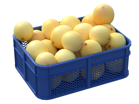 Cantaloupe Melon Plastic Crate 3D Model
