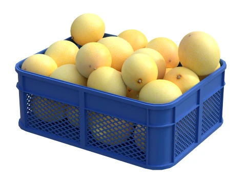 Cantaloupe Melon Plastic Crate 3D Model