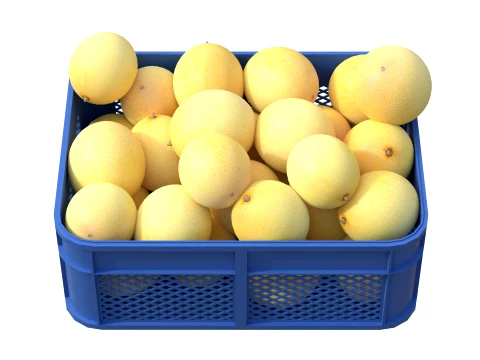 Cantaloupe Melon Plastic Crate 3D Model