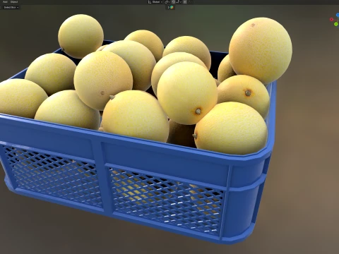 Cantaloupe Melon Plastic Crate 3D Model