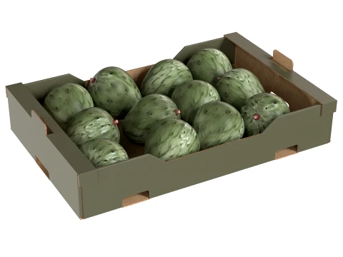 Cherimoya Cardboard Fruit Box 3D Model