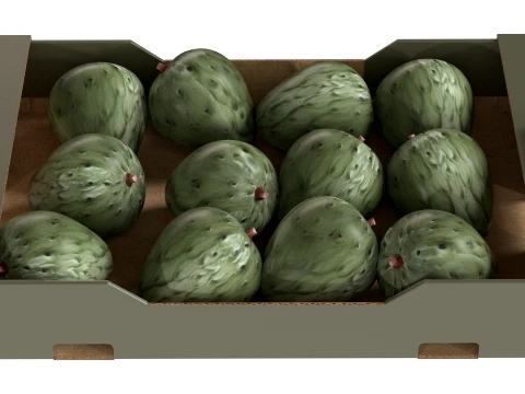 Cherimoya Cardboard Fruit Box 3D Model