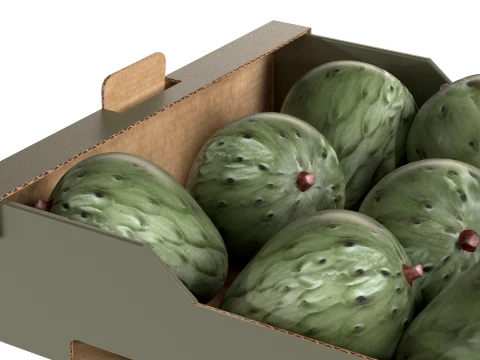 Cherimoya Cardboard Fruit Box 3D Model