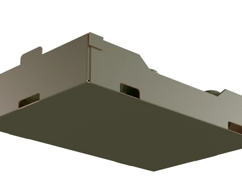 Cherimoya Cardboard Fruit Box 3D Model