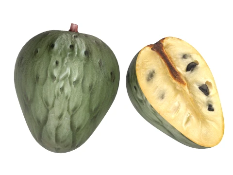 Cherimoya-Frucht 3D Modell