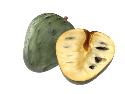 Fruta Cherim&oacute;ia Modelo 3D