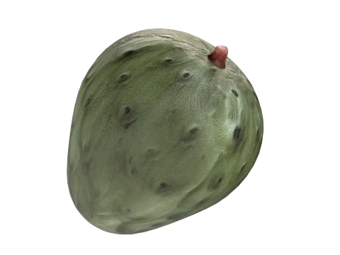 Fruta Cherim&oacute;ia Modelo 3D
