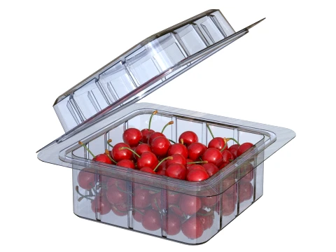 Cherry Fruit Box Plastic Transparent 3D Model