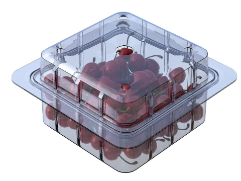 Cherry Fruit Box Plastic Transparent 3D Model